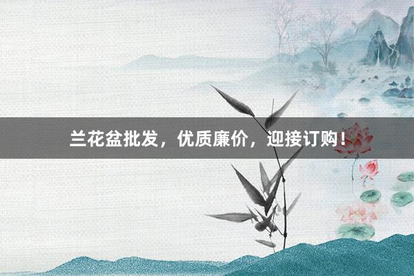 兰花盆批发，优质廉价，迎接订购！