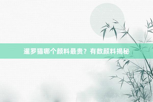 暹罗猫哪个颜料最贵？有数颜料揭秘