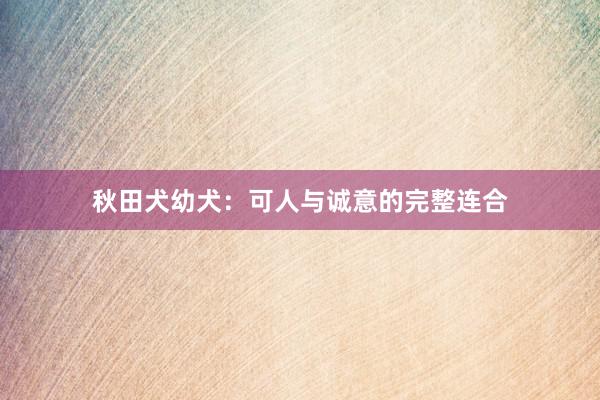 秋田犬幼犬：可人与诚意的完整连合