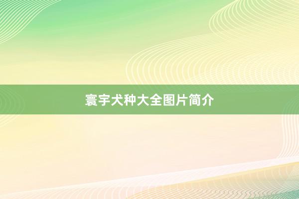 寰宇犬种大全图片简介